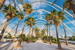 a canopy of palm trees in a park with a pathway at Cabañal Home in Valencia