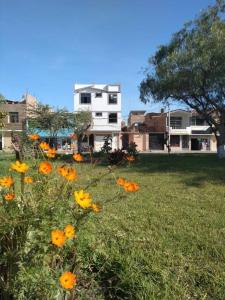 un campo de flores amarillas y naranjas en un patio en Departamento-Parque y Flores M1, en Chiclayo