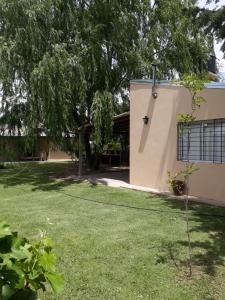un patio con un árbol y un edificio en Cabañas La Soñada en San Rafael