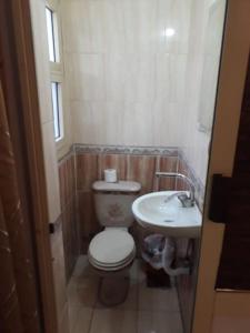 a small bathroom with a toilet and a sink at Schöne Wohnung mit Blick auf Nil und Pyramiden in Cairo