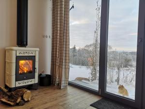 a living room with a fireplace and a window at BABIE LATO dostęp do jeziora UBLIK in Konopki Wielkie