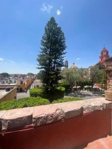 a tree sitting on top of a stone wall at Hotel Rinconada in San Miguel de Allende