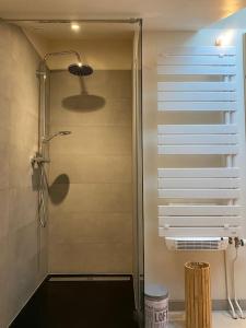 Ванна кімната в Le Martin Pêcheur - Appartement