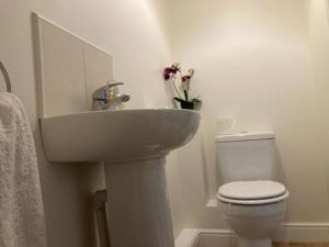 a bathroom with a white sink and a toilet at Cosy home near hospital in Carlisle