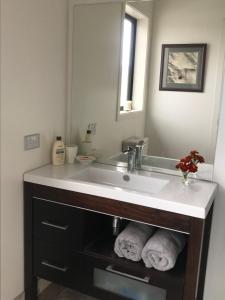 a bathroom with a sink and a mirror at Top of the world studio nestled in the rock in Queensberry