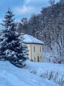 a building with a christmas tree in the snow at Krioklio Namelis Verkiuose in Vilnius