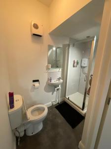 La salle de bains est pourvue de toilettes, d'un lavabo et d'une douche. dans l'établissement Spacious sofa bed lounge area with ensuite bedroom, à Wednesbury