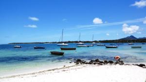 Paisagem natural perto do bed and breakfast