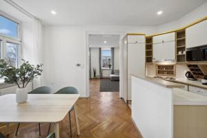 A kitchen or kitchenette at Big spacious central apartment in Vienna