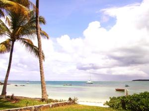 Paisagem natural perto do bed and breakfast