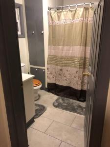 uma casa de banho com uma cortina de chuveiro e um WC em Cuddys Place em Pittsburgh