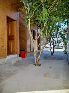 a tree in a courtyard next to a building at Residencial Aracuã Praia Brava in Itajaí