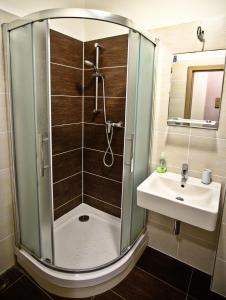a bathroom with a shower and a sink at Apartmán na kraji lesa Všemina in Všemina