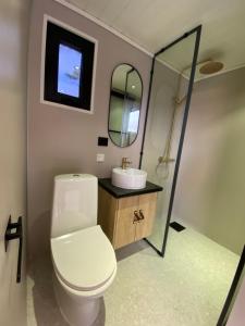 a bathroom with a toilet and a sink and a mirror at Ocean View Stad in Barmen