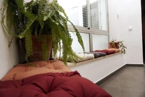 A seating area at Casa Marcur Santa Cruz