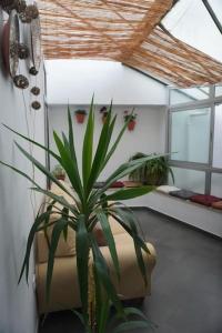 A seating area at Casa Marcur Santa Cruz