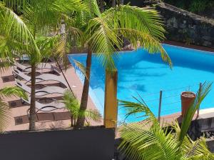 an overhead view of a swimming pool with palm trees at Vista Do Vale in Furnas