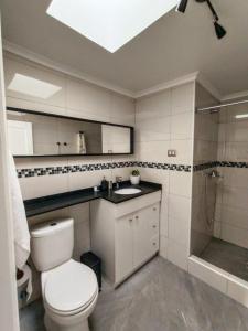 uma casa de banho com um WC, um lavatório e um chuveiro em Bello y cómodo departamento a minutos del centro em Santiago