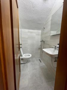 bagno con servizi igienici e lavandino di Perroi Shqiptar a Deçan