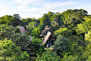 a house in the middle of a forest at Azul Nomeolvides in Bacalar