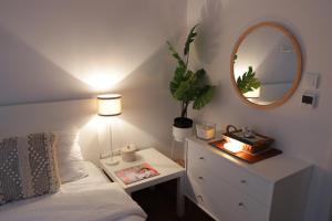 ein Schlafzimmer mit einem Bett und eine Kommode mit einem Spiegel in der Unterkunft Vista Apartmani in Ribarska Banja