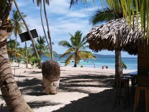 uma praia com palmeiras e vista para o oceano em Hostel La Ballena Backpacker em Las Galeras