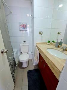 a bathroom with a toilet and a sink at Céntrico y cómodo departamento in Concepción +8 photos