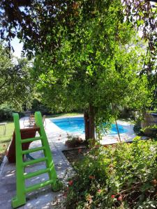 a green chair sitting in front of a pool at Tu casa en el centro in San Rafael