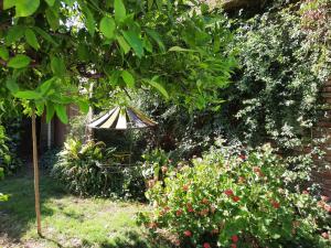 Fotografie z fotogalerie ubytování Tu casa en el centro v destinaci San Rafael