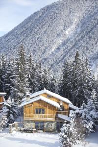 Chalet Artemisia