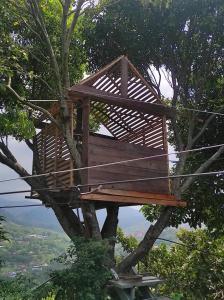 een boomhut in een boom bij LA BENDICION in Cali