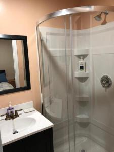 a bathroom with a shower and a sink at Shady Willow Guest House -Coach house & Privet Small Compact Rooms with separate entrance in Chilliwack