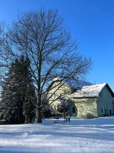 un árbol en la nieve al lado de una casa en Pension U Václava, en Janov