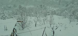 MOZO Inn&Cafe Jibhi durante l'inverno