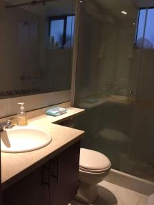 ein Bad mit einem WC, einem Waschbecken und einer Dusche in der Unterkunft Paraíso del salitre in Bogotá