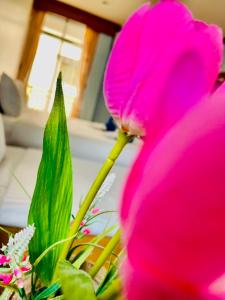 Fotografie z fotogalerie ubytování Innarm House Patong v destinaci Pláž Patong