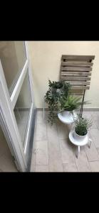 een kamer met twee potplanten op een tegelvloer bij Delizioso bilocale in Centro Storico in Pisa