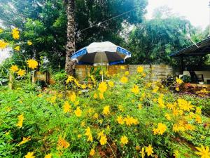 Φωτογραφία από το άλμπουμ του Luxury Villa Siena with Private Pool! σε Ποντισερί