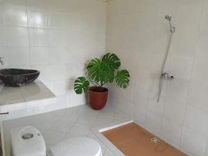 La salle de bains est pourvue de toilettes et d'une plante en pot. dans l'établissement Rosella Cottage - Homestay - Kitchen Yogyakarta, à Yogyakarta