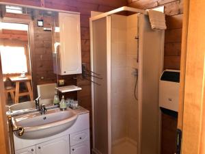 une salle de bain avec lavabo et douche dans l'établissement Relax in Baita di montagna!, à Pieve di Cadore