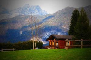 une maison sur une colline avec une montagne en arrière-plan dans l'établissement Relax in Baita di montagna!, à Pieve di Cadore