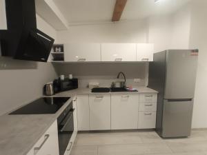 Kuchyňa alebo kuchynka v ubytovaní Apartament Wolności