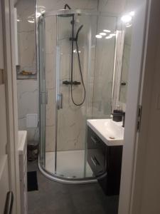 Kúpeľňa v ubytovaní Apartament Wolności