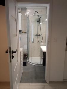 Kúpeľňa v ubytovaní Apartament Wolności