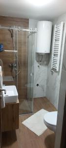 un bagno con doccia, WC e lavandino di Borovi snovi Divčibare a Divčibare