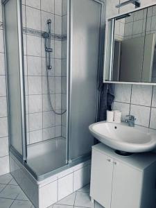 bagno con doccia e lavandino di work & travel apartment a Meißen