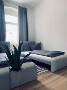 una camera con letto e pianta in vaso di work & travel apartment a Meißen
