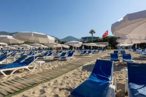 a group of blue chairs and umbrellas on a beach at Kandelor Hotel in Alanya