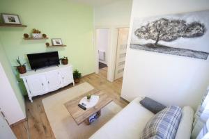 Televízia a/alebo spoločenská miestnosť v ubytovaní Apartment Rustica Zadar