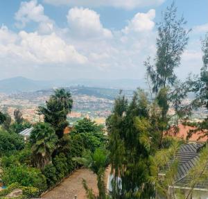 a group of palm trees on a hill at Kigali viewStay in Kigali